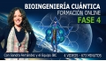FASE 4 - Formación Bioingeniería Cuántica - Programa SEO con Sandra Fernández y Equipo IBC