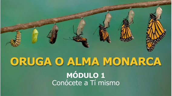 ORUGA O ALMA MONARCA - Curso Online para Levantar el vuelo y dejar la vida de oruga