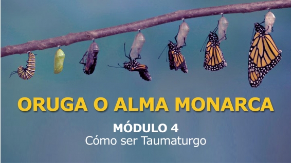 ORUGA O ALMA MONARCA - MÓDULO 4 - Cómo ser Taumaturgo