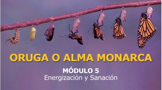 ORUGA O ALMA MONARCA - MÓDULO 5 - Energización y Sanación