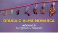 ORUGA O ALMA MONARCA - MÓDULO 5 - Energización y Sanación