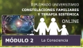 DIPLOMADO UNIVERSITARIO ONLINE DE CONSTELACIONES FAMILIARES - Módulo 2 ( La consciencia )