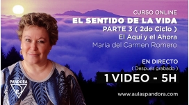Curso: EL SENTIDO DE LA VIDA Parte 3 ( Segundo ciclo ) – Maria del Carmen Romero