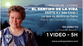 Curso: EL SENTIDO DE LA VIDA Parte 4 ( Segundo ciclo ) – Maria del Carmen Romero