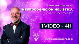 Seminario A1: NEUROCOGNICIÓN HOLÍSTICA - Dr. Angel Luis Fernandez