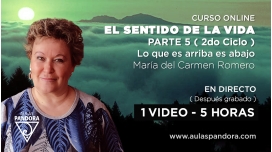 Curso: EL SENTIDO DE LA VIDA Parte 5 ( Segundo ciclo ) – Maria del Carmen Romero