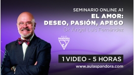 10 ( 2022 ) Seminario A1: EL AMOR: DESEO, PASIÓN, APEGO – Dr. Angel Luis Fernandez