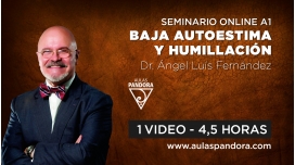 11 ( 2022 ) || Seminario A1: BAJA AUTOESTIMA Y HUMILLACIÓN – Dr. Ángel Luís Fernández