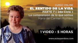 22 Noviembre 2022 || Curso online: EL SENTIDO DE LA VIDA – Parte 7 ( Segundo Ciclo ) – M. Carmen Romero