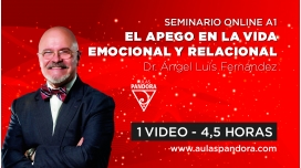 12 ( 2022 ) | Seminario A1: EL APEGO EN LA VIDA EMOCIONAL Y RELACIONAL – Dr. Angel Luis Fernandez