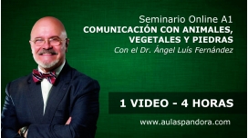 23 Julio 2023 | Seminario A1: COMUNICACIÓN CON ANIMALES, VEGETALES Y PIEDRAS - Dr. Ángel Luís Fernández