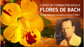 Formación Básica en FLORES DE BACH por José Salmerón