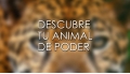 DESCUBRE TU ANIMAL DE PODER – Curso de Ana Hatun Sonqo